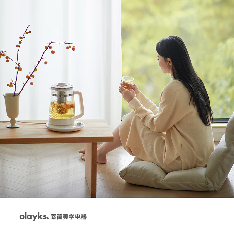 立时(olayks)养生煮茶壶 办公室烧水大容量保温一体花茶壶316不锈钢家用 OLK-YSH17A 白色1.7升/台高清大图