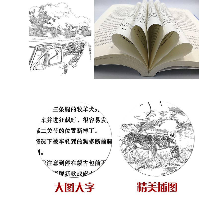 [正版] 风之子 百年百部中国儿童文学经典书系中小学生青少年课外书9-15岁儿童文学励志读书书籍三四五六年级以上小说高清大图