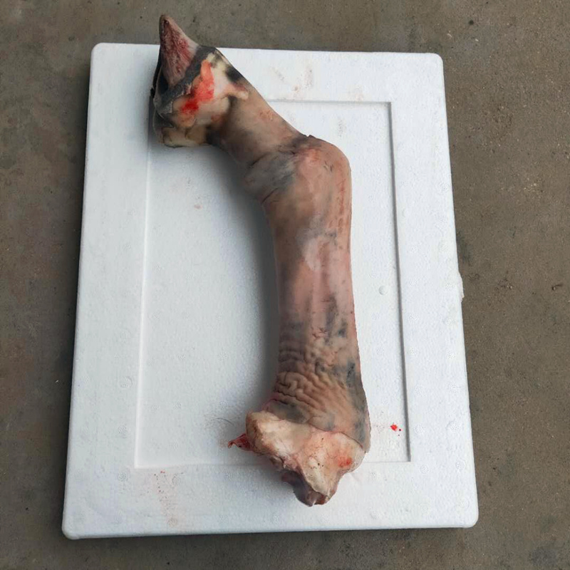正宗驴脚带皮驴脚正宗黑驴蹄子新鲜驴蹄筋带皮驴 驴肉
