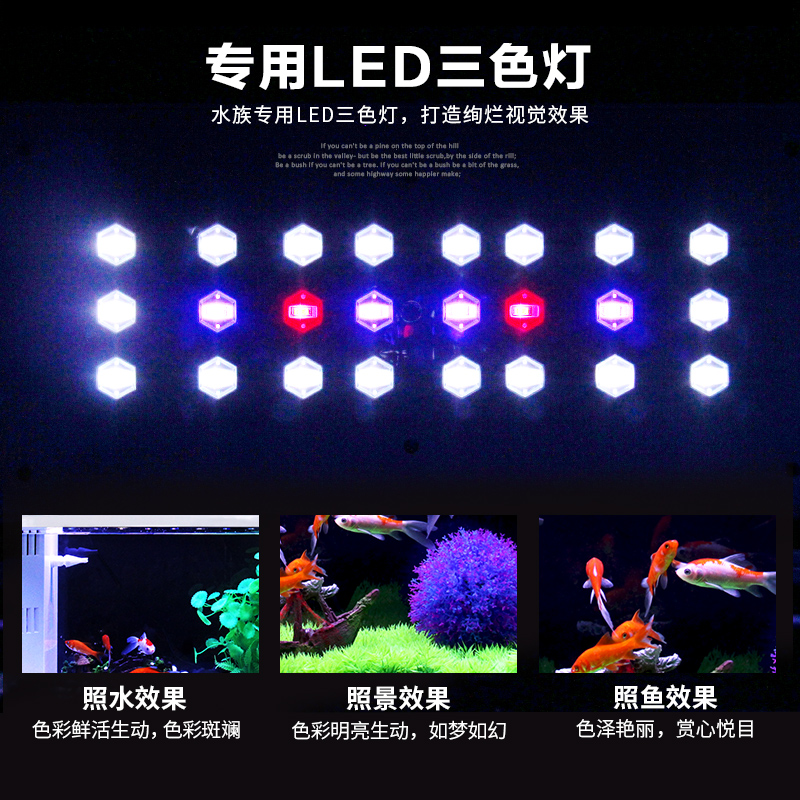 鱼缸水族箱小型玻璃鱼缸迷你生态桌面中型创意客厅方形热带金鱼缸高清大图
