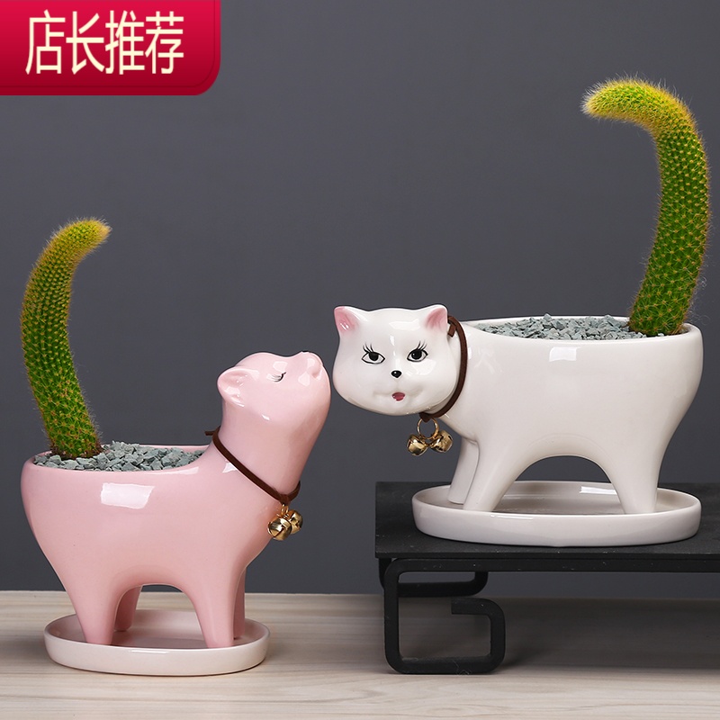 简约植物白色多肉花盆陶瓷创意个性可爱小号桌面仙人掌猫尾巴花器jing Ping花盆容器报价 参数 图片 视频 怎么样 问答 苏宁易购