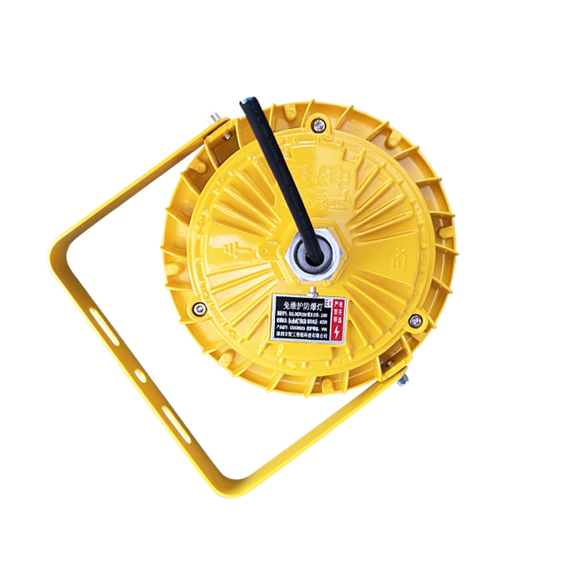 简工智能 BGL-04D(T) 220V 20W 6000K IP65 Ex dⅡCT6 Gb 免维护防爆灯 (含安装)高清大图