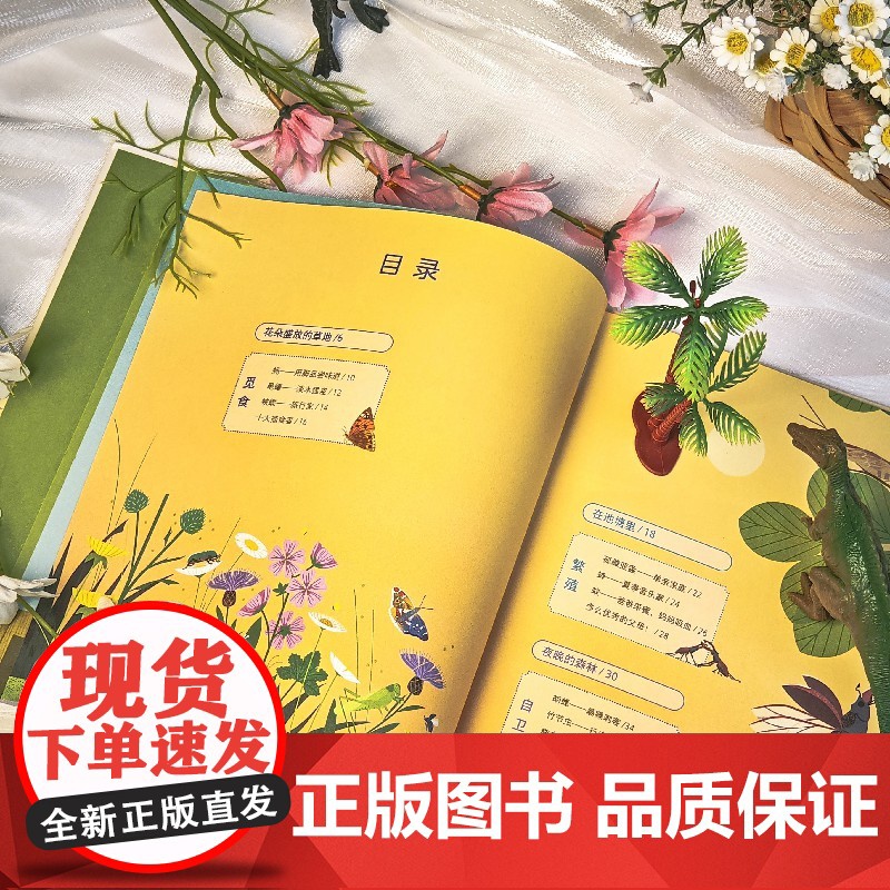 我的昆虫朋友·奇妙的昆虫世界高清大图