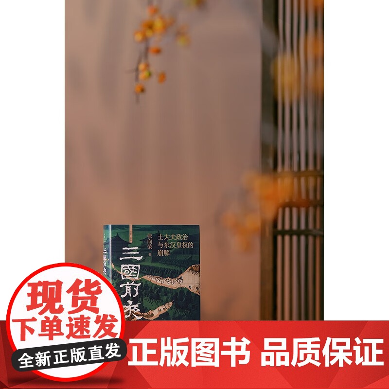 三国前夜 士大夫政治与东汉皇权的崩解 张向荣著 未央系列 接续祥瑞王莽和他的时代 东汉版权力的游戏 历史高清大图