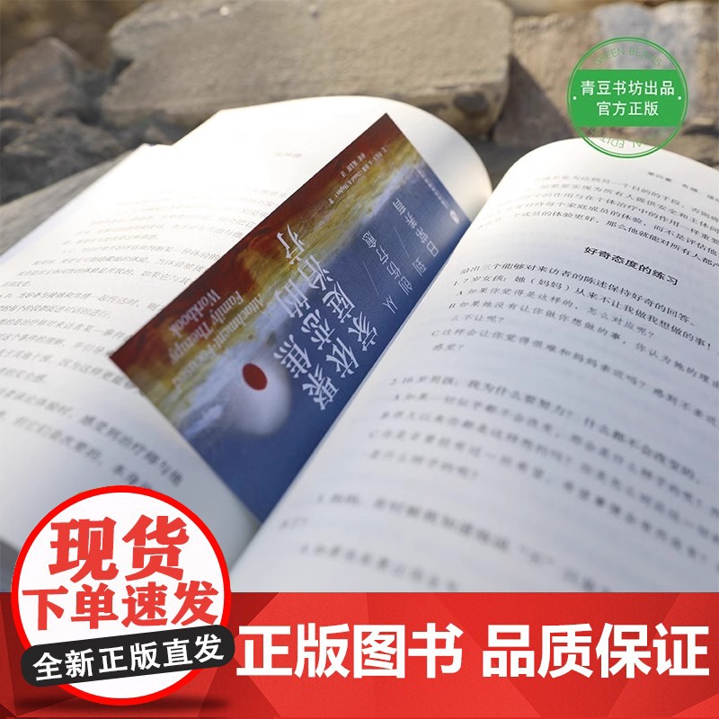 [央视网]聚焦依恋的家庭治疗:从创伤疗愈到日常养育 国际心理治疗大师家庭治疗实操指南 家庭关系修复的实用宝典QS高清大图