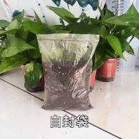 花土通用型营养土家用种花盆栽多肉土种菜专用种植有机土发酵阳台 通用营养土1升小袋装