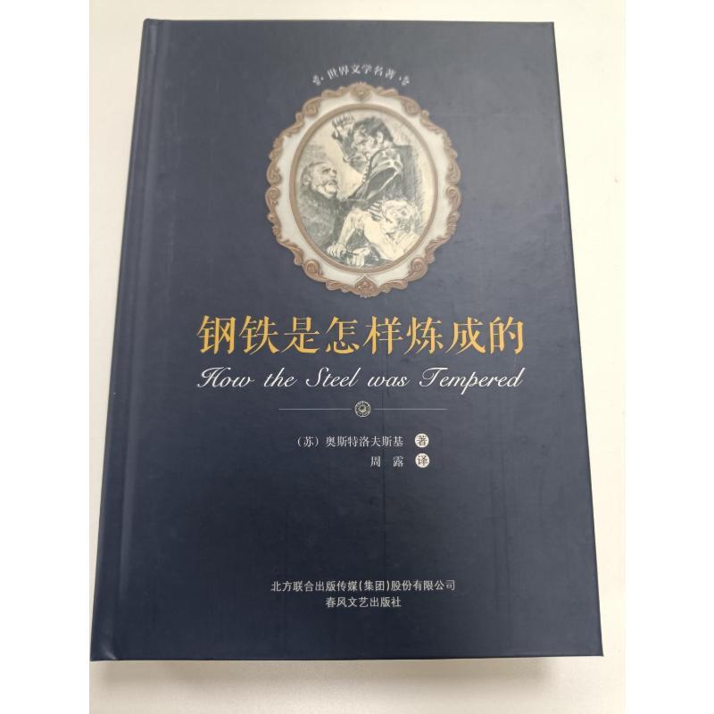 钢铁是怎样炼成的 (苏)尼古拉·奥斯特洛夫斯基 著;周露 译 著 文学 文轩网