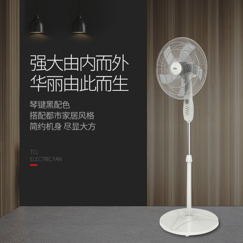 TCL电风扇落地扇家用台式定时大风量摇头式办公室 TCL-TFS30-21FD5