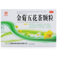 嘉应金菊五花茶颗粒 12袋 清热利湿凉血明目咽痛