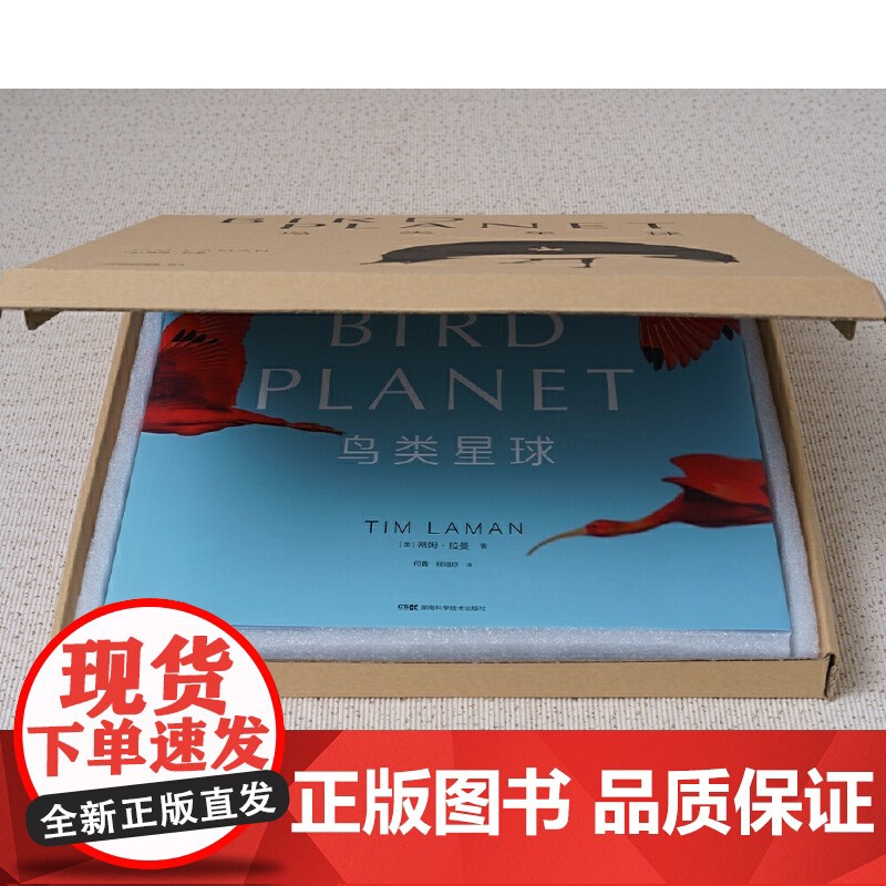 [正版书籍]鸟类星球:摄影之旅自然摄影大师蒂姆·拉曼 近30年重磅作品完整收录 每张画面都是我们更爱这个世界的理由高清大图