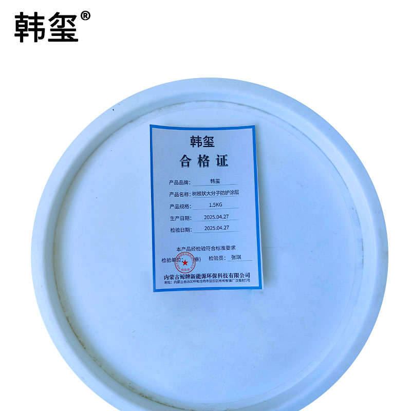 韩玺 树枝状大分子防护涂层 1.5Kg/组高清大图