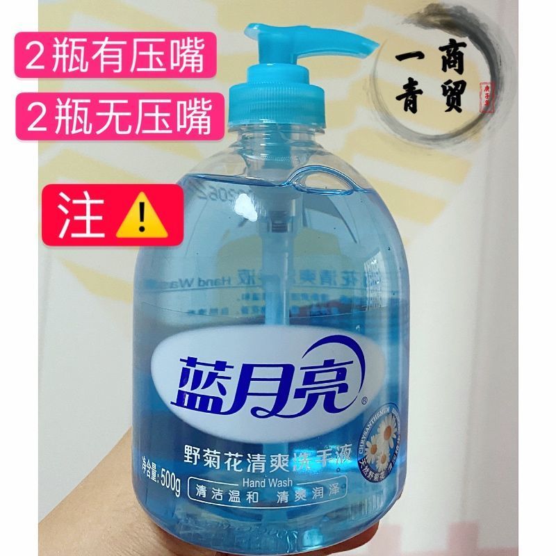 蓝月亮芦荟洗手液野菊花维生素E清香型抑菌补充装按压瓶 芦荟*2瓶(1个泵头+1个无泵头))