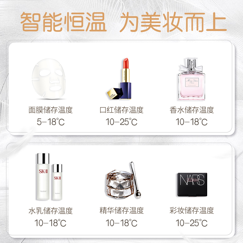 科敏10L迷你型小冰箱车家两用租房宿舍学生寝室单人用mini母乳制冷 10L高配蓝牙控温版