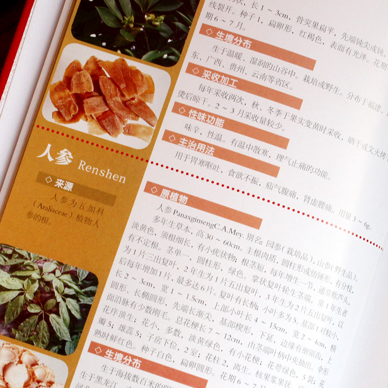 [正版]中药材及饮片 彩图印刷 精装 中华药饮经典养生保健全书 家庭养生的背图谱 中国药典中药材及饮片彩色图鉴全彩版图书