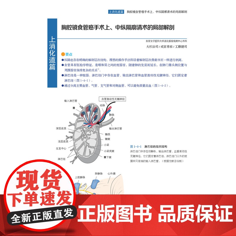 [店]腹腔镜外科局部解剖图谱:解剖路径与手术操作高清大图