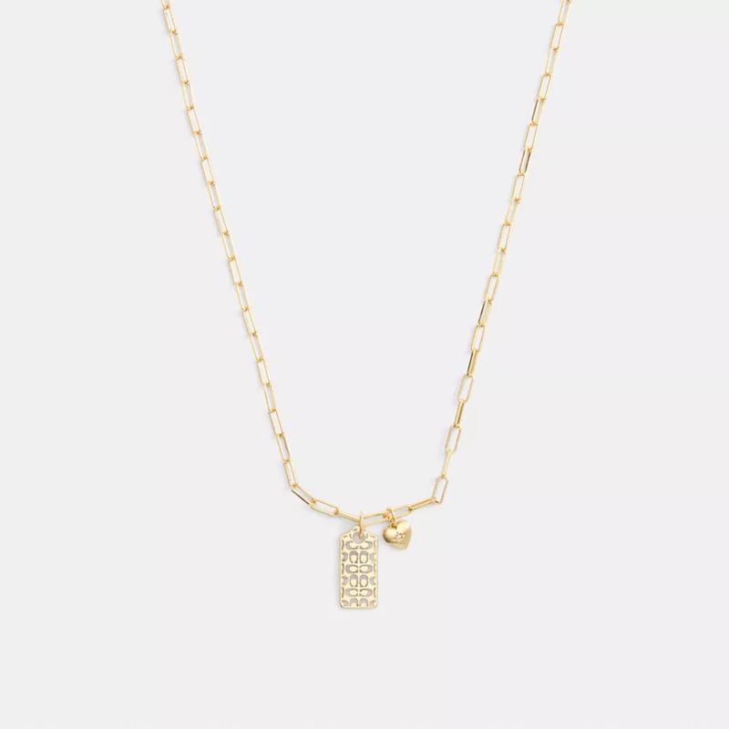 蔻驰(COACH)Coach经典挂 tag心形吊坠项链时尚百搭配饰女性链式吊坠