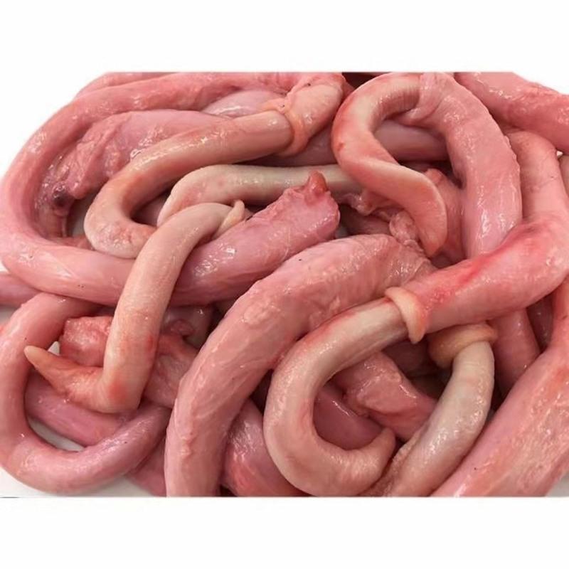 赛卡伊新鲜猪鞭散养土猪猪肉去油猪鞭现杀现取烧烤火锅煲汤食材新鲜