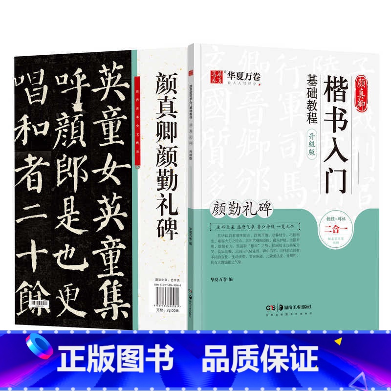 《颜勤礼碑.楷书入门》基础教程(含影片教程) 【正版】颜真卿多宝塔碑字帖/颜勤礼碑字帖楷书毛笔字帖颜体书法临摹描红字帖