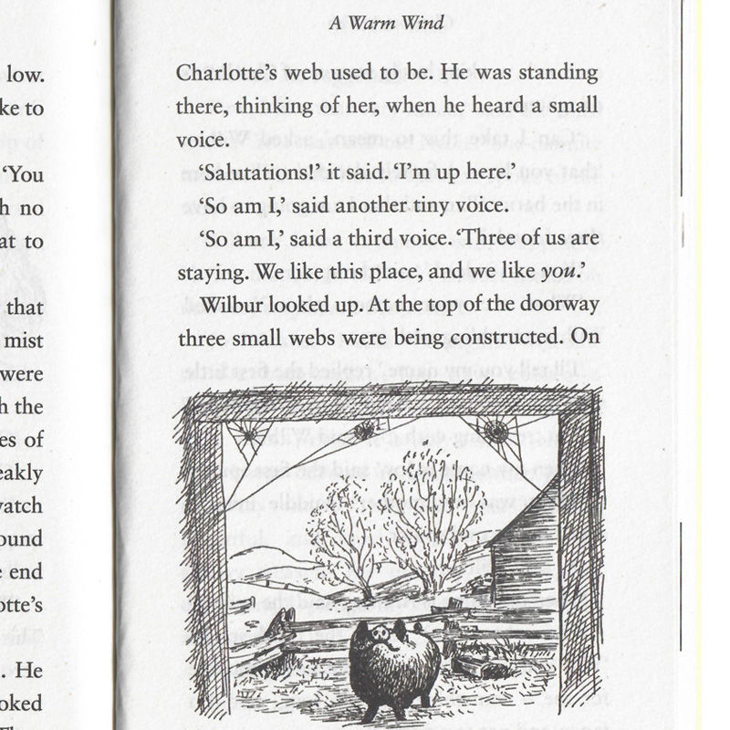 夏洛特的网 [正版]Charlotte’s web 夏洛特的网 夏洛的网英文版原版进口外国儿童文学书籍纽伯瑞奖作品 E高清大图