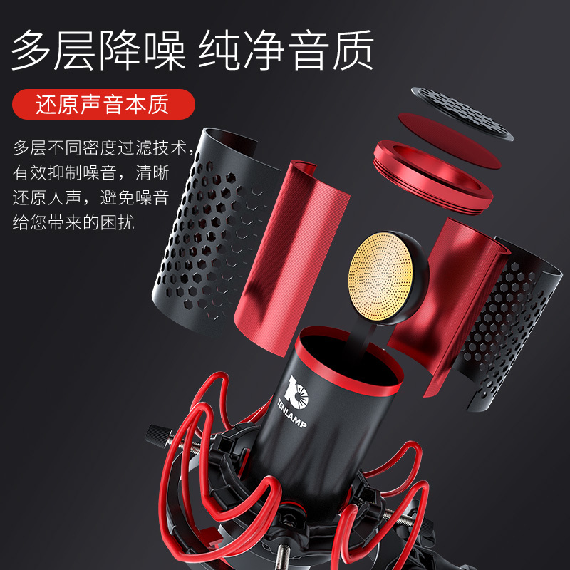 十盏灯P10-G4网红直播设备声卡套装手机唱歌专用全套主播喊麦外置装备大振膜电容麦克风电脑台式录音抖修音k歌跑调神器快手