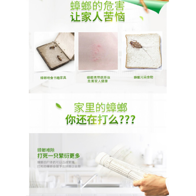 超威 杀蟑饵剂12片 杀蟑胶饵10g 捕蟑屋 灭蟑 杀小强 蟑螂屋 除蟑螂器 蟑螂克星 杀蟑饵剂加量12个装