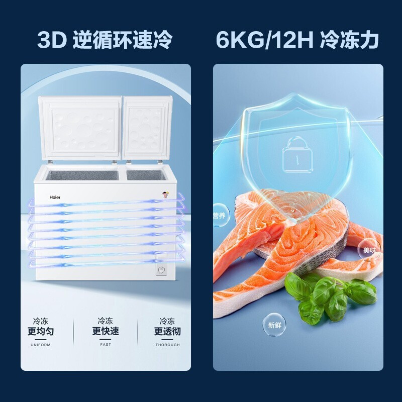海尔冰柜双温家用211升无需除霜冷柜 小冷藏大冷冻柜 双门双箱冷柜 商用大容量雪糕柜 卧式冰箱 211升/一级能效/拉扣