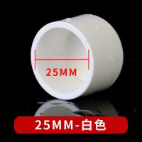 联益(LUEN YICK) pvc管帽头闷头盖子管头6分 25mm pvc塑料给水管件管道配件 10个装