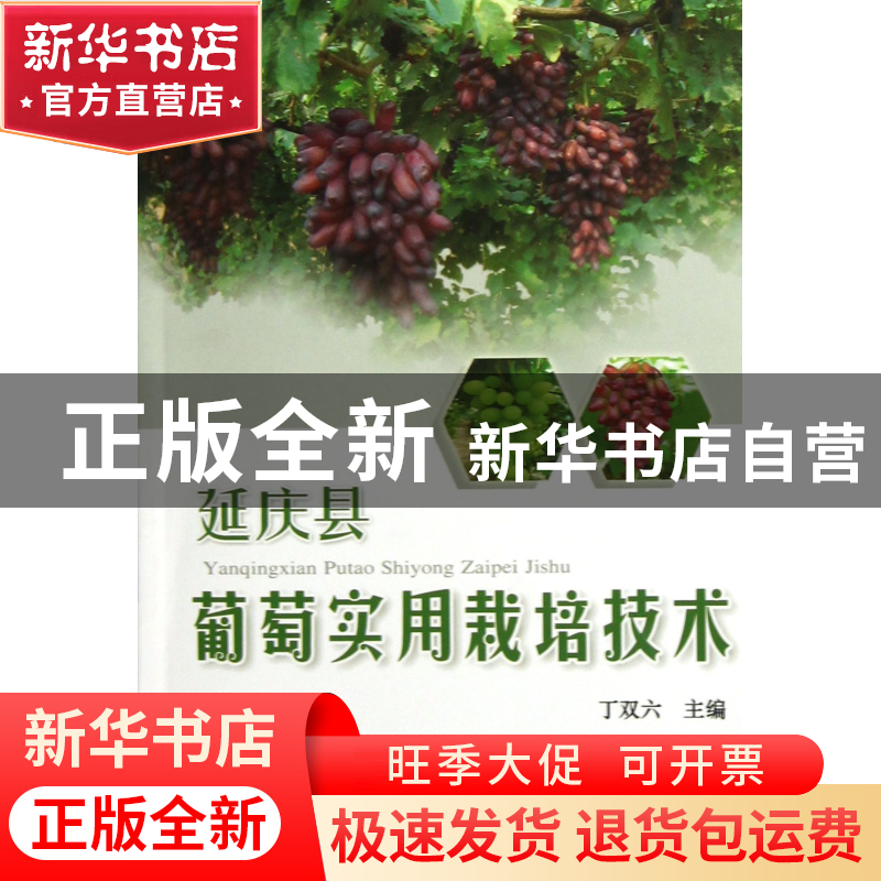 正版 延庆县葡萄实用栽培技术 丁双六 中国农业大学 978756550611高清大图