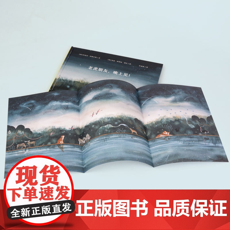 老虎朋友,晚上见!(奇想国童书)高清大图