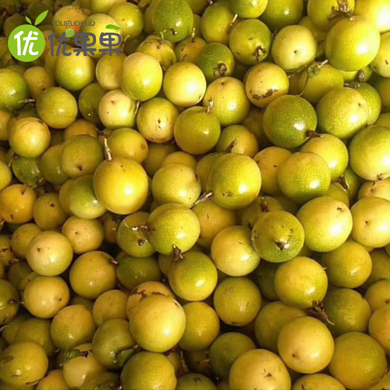 黄金百香果试吃装/3斤/5斤 新鲜采摘当季热带水果鸡蛋果生鲜黄皮西番莲