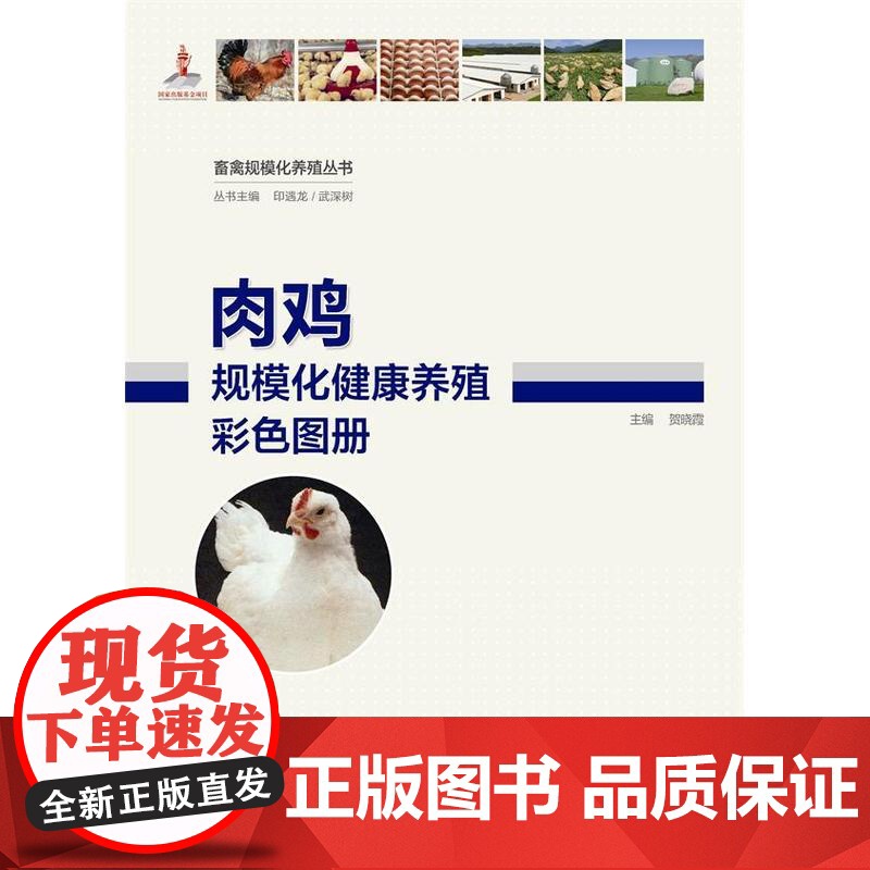 畜禽规模化养殖丛书—肉鸡规模化健康养殖彩色图册高清大图