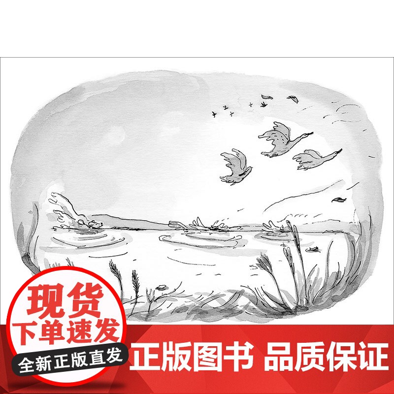 魔法象故事森林 狗和他的男孩 英国文学巨匠伊娃•伊博森作品,曾三度提名卡内基文学奖 亲情友情 品格培养 价值养成 广西师高清大图