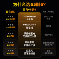 雷鸟鹏6 24款 65英寸电视 家电国家补贴 3+64GB电视机65S375C-JN
