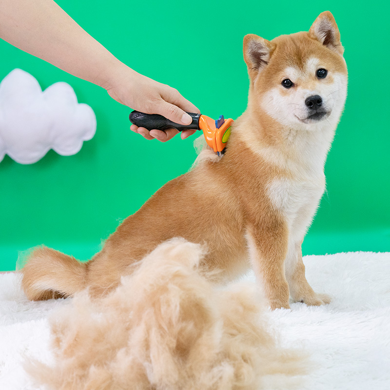 宠物狗狗梳子梳毛猫咪刷子柴犬柯基中小型犬去浮毛刷狗毛用品高清大图