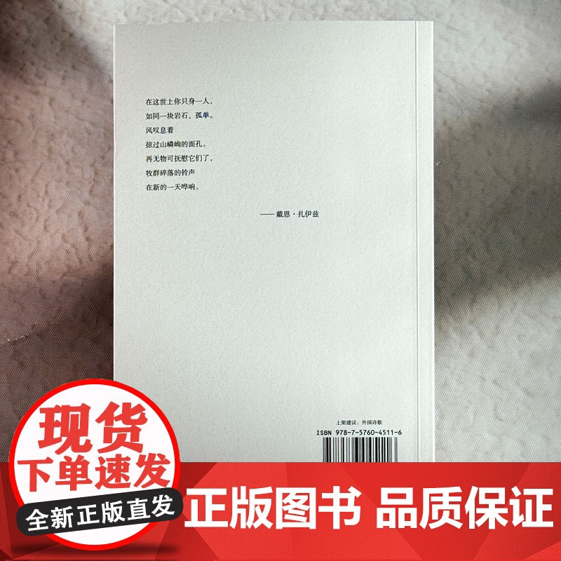 无果的收获:扎伊茲高清大图