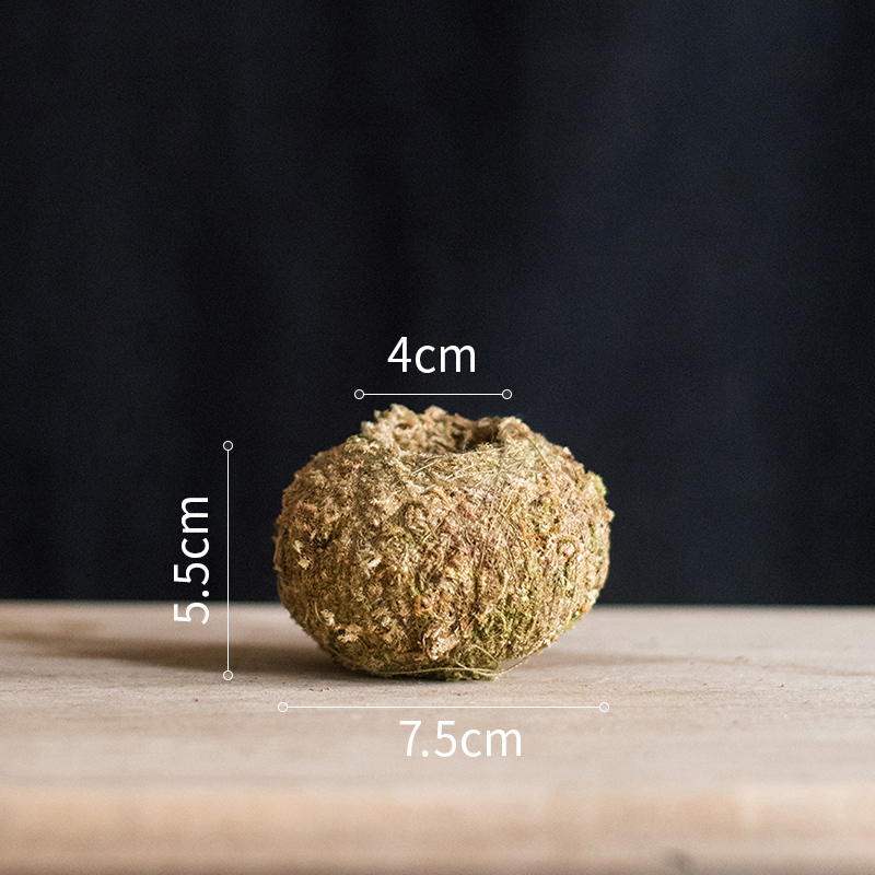 家柏饰(CORATED)干苔藓包球 花器花盆植物培育基质 装饰摆件花艺搭配 天然苔藓花器中号 大高清大图