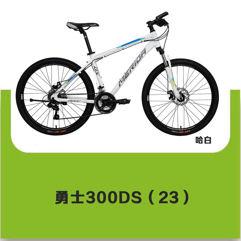 [预售车型]MERIDA美利达 勇士300DS 山地自行车 21S 变速