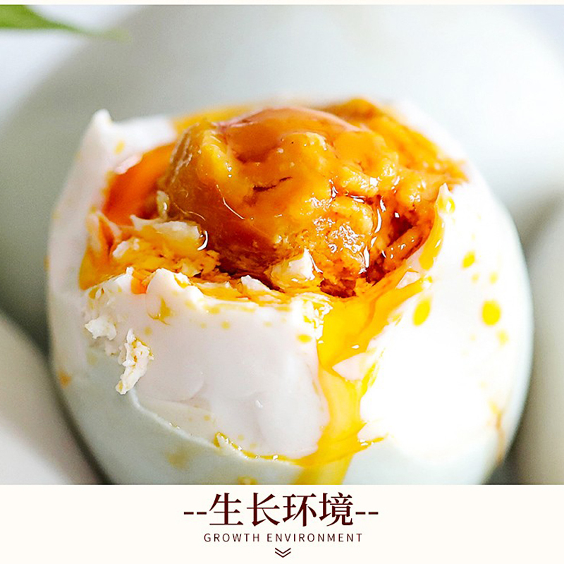 YJ顺豪香咸鸭蛋 (55g)