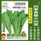 [补贴10%]蔬菜种子四季播种阳台农家盆栽香菜菠菜生菜韭菜小葱草莓籽孑大全