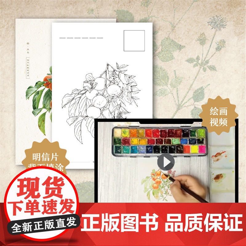 [店]奇妙的本草世界——二十四节气本草百科 中医文化 少儿科普高清大图
