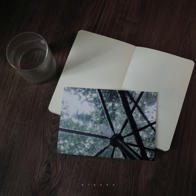 [正版]春日序曲 摄影师@栖聿摄影作品艺术摄影春日春天风光风景明信片 青春文艺小清新礼品装饰贺卡文创产品 浙江人民美术高清大图