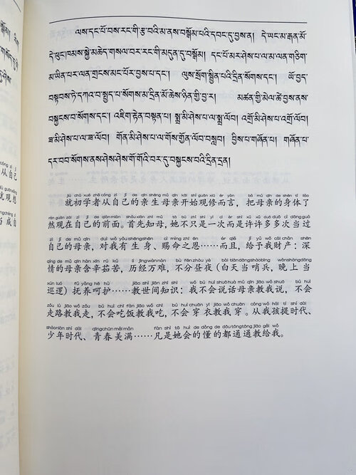 苦提心 堪布阿琼仁波切 著 索达吉堪布译16开本封面带花纹 封面带花纹高清大图