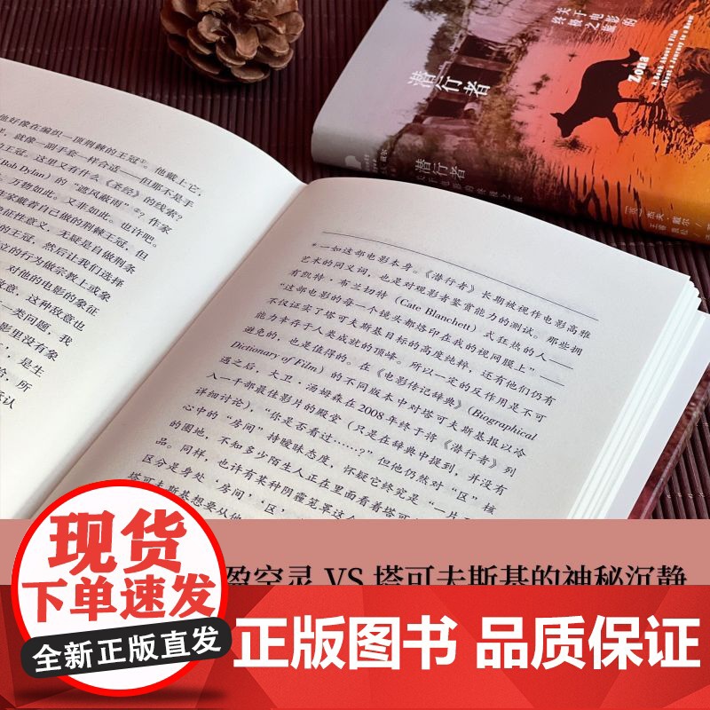 潜行者:关于电影的之旅(杰夫·戴尔作品系列)高清大图