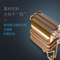 阿诗丹顿 USATON 13升零冷水升级版燃气热水器三档变升 低水压启动 双重过热防护JSQ25-13H5F3天然气