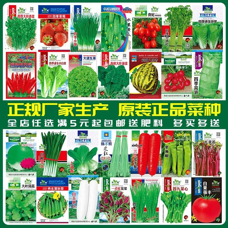 [补贴10%]蔬菜种子四季播盆栽阳台庭院辣椒番茄甜瓜黄瓜简单秋易种籽孑大全