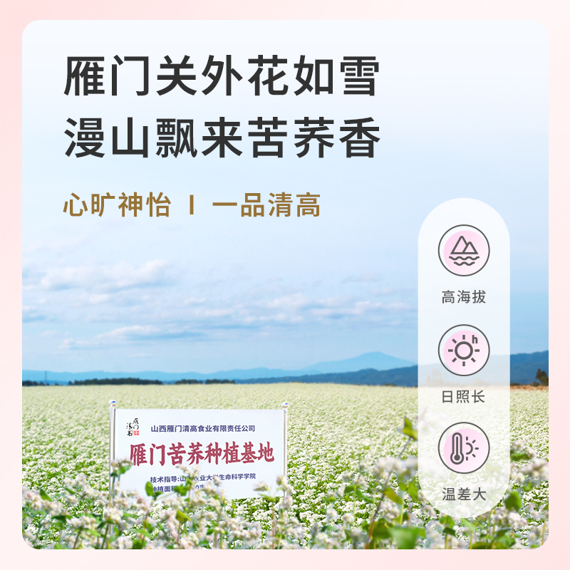 雁门清高 0脂荞麦面龙须挂面248g*5袋黑全麦苦荞面条纯荞麦面粗粮速食面挂面代餐