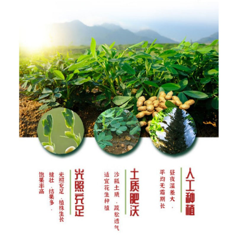 鲁王 古法压榨特香花生油 5L LW0014 单位:桶高清大图