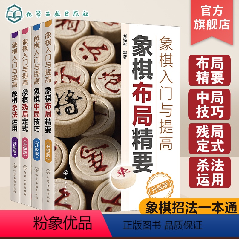 【正版】 象棋入门与提高升级版 共4册 象棋技巧杀法运用布局精要象棋残局定式破解指南 初学者棋谱基础教程 中国象棋棋谱