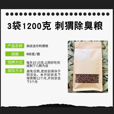 疫苗刺猬粮4 非洲迷你小刺猬活物幼崽非洲迷你刺猬小型刺猬宝宝家养宠物小刺猬