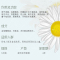 达卡卡蒂玛(DAKKA KADIMA)天然橄榄洋甘菊皂 120克